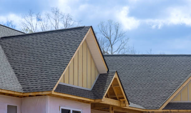 Best Roof Moss and Algae Removal  in Five Corners, WA